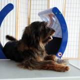 Therapiebereich MBST