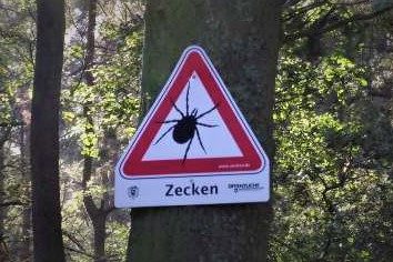 Zeckenwarnung Zeckenalarm