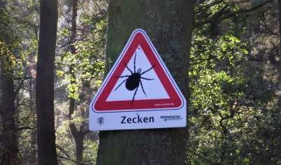 Zeckenwarnung Zeckenalarm