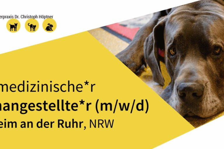 TFA gesucht TFA gesucht